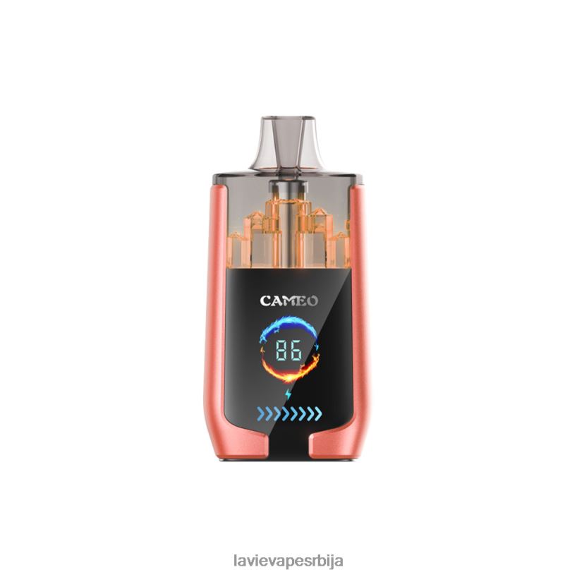 јагода лубеница LAVIE CAMEO 30000 пуффс 0Z4H0224 | Lavie Vape Review